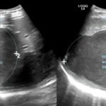 Creative Commons images