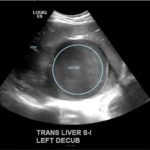 Creative Commons images