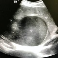 Creative Commons images