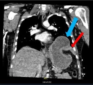 Creative Commons images