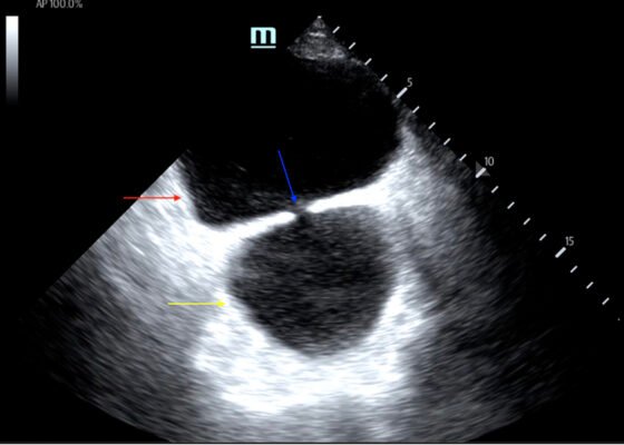 Creative Commons images