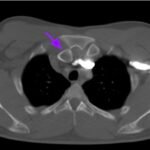 Creative Commons images