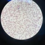 Creative Commons images