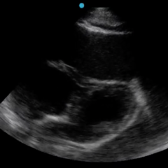 Creative Commons images