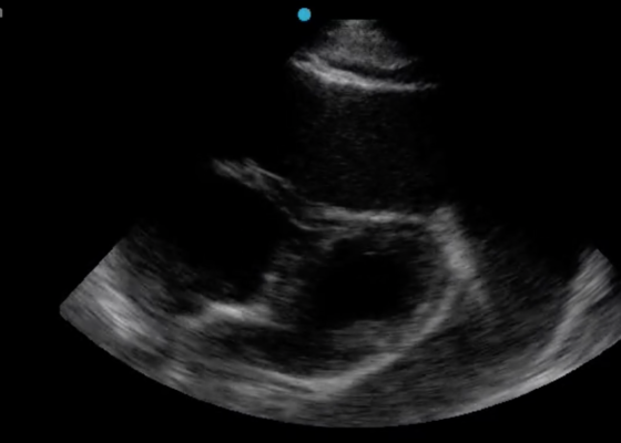 Creative Commons images