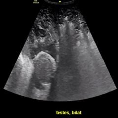 Creative Commons images