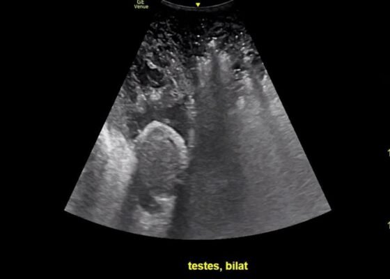 Creative Commons images