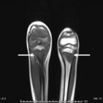 Creative Commons images