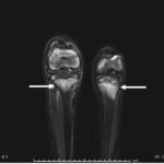 Creative Commons images