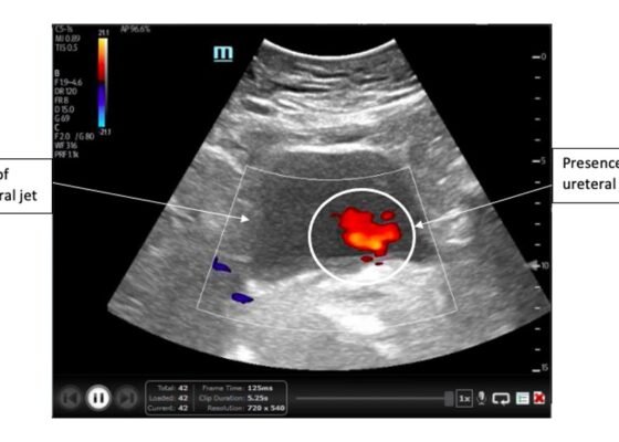 Creative Commons images