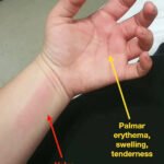 Creative Commons images