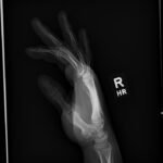 Creative Commons images