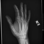 Creative Commons images