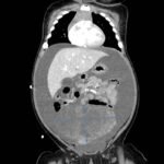 Creative Commons images