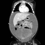 Creative Commons images