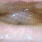 Creative Commons images