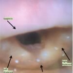 Creative Commons images