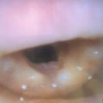 Creative Commons images