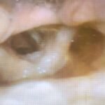 Creative Commons images