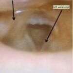 Creative Commons images