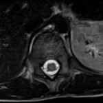 Creative Commons images