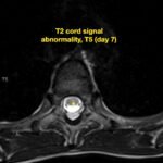 Creative Commons images