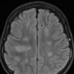 Creative Commons images