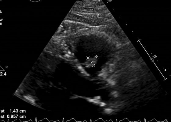 Creative Commons images