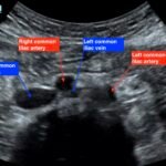 Creative Commons images