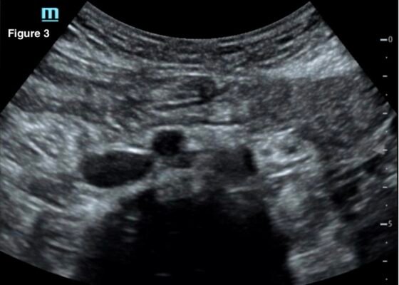 Creative Commons images