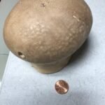 Creative Commons images