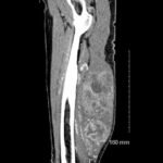 Creative Commons images