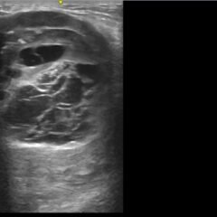 Creative Commons images