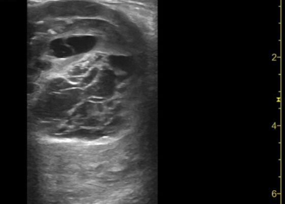 Creative Commons images