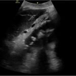 Creative Commons images