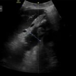 Creative Commons images