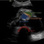 Creative Commons images