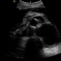 Creative Commons images