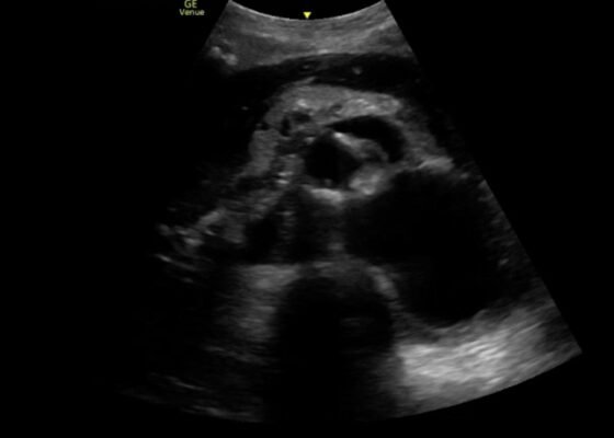 Creative Commons images