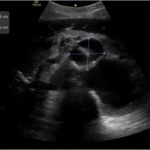 Creative Commons images