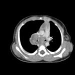 Creative Commons images