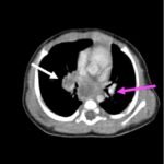 Creative Commons images