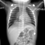 Creative Commons images