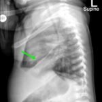 Creative Commons images