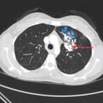 Creative Commons images